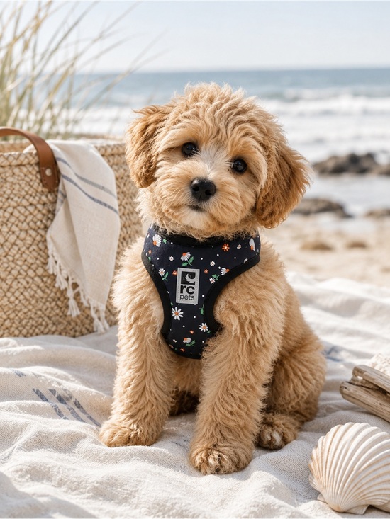 RC Pets Other - RC Pets Daisy Spring Harness Vest | Size Medium | Floral Boho Puppy Cottagecore